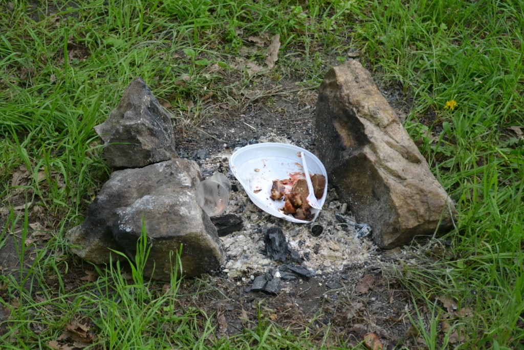 В запорожской «Дубовой роще» жгут костры, несмотря на запрет (ФОТО)