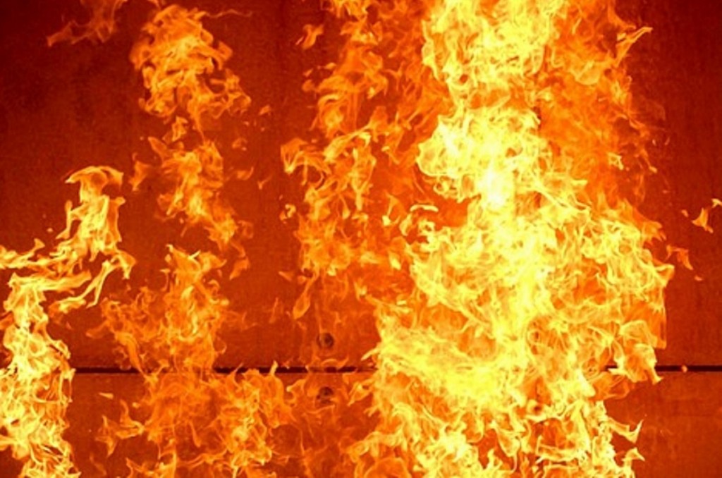 В Запорожской области пожарные вывели мужчину из горящей квартиры (ФОТО)