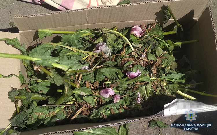 В Запорожской области задержали мужчину, перевозившего мак (ФОТО)