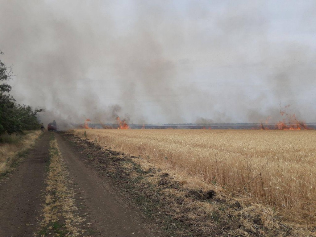 В Запорожской области горели поля с пшеницей (ФОТО)