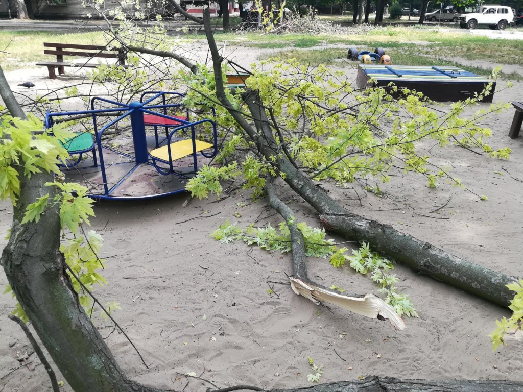 В Запорожье аварийное дерево упало на площадку, где играют дети (ФОТО)