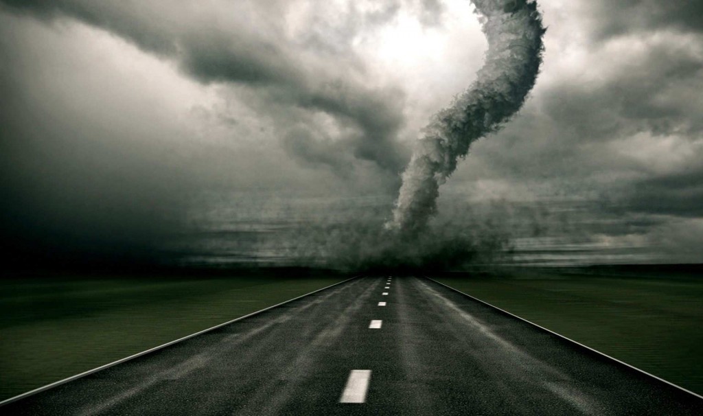 В одном из районов Запорожья смерч сломал дерево (ВИДЕО)