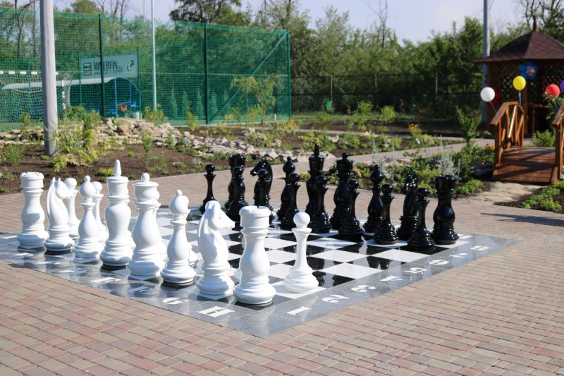 В Запорожской области появились шахматная доска с метровыми фигурами (ФОТО)