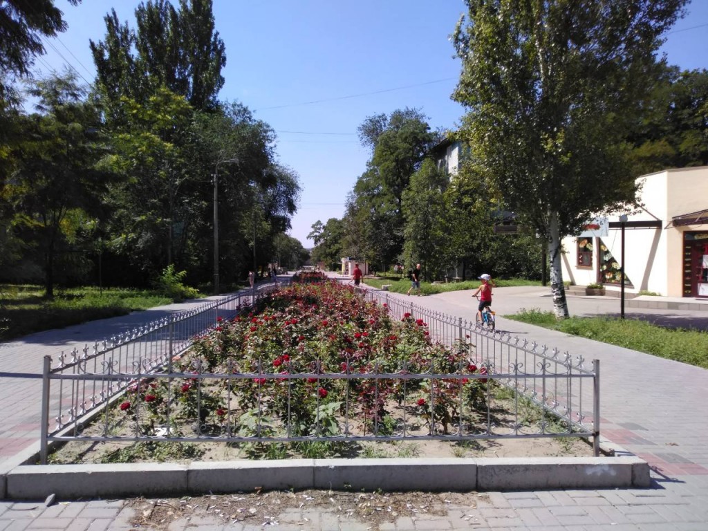 В Запорожье завершается реконструкция Аллеи роз: что уже сделано и есть ли огрехи (ФОТОРЕПОРТАЖ)