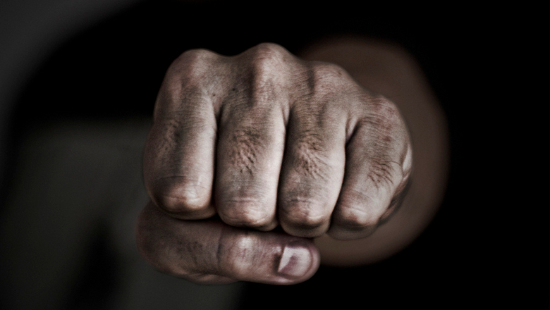 Запорожца, ударившего полицейского, посадили под домашний арест (ФОТО)