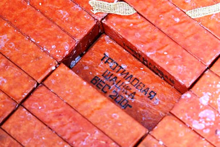 В Запорожской области женщина хотела использовать тротиловую шашку для хозяйственных нужд