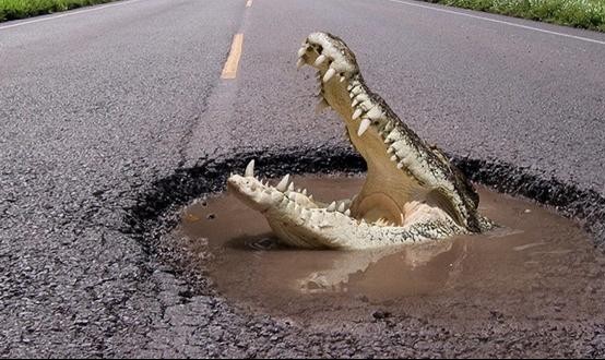 В Запорожской области огромную яму на дороге обозначили необычным способом (ФОТО)