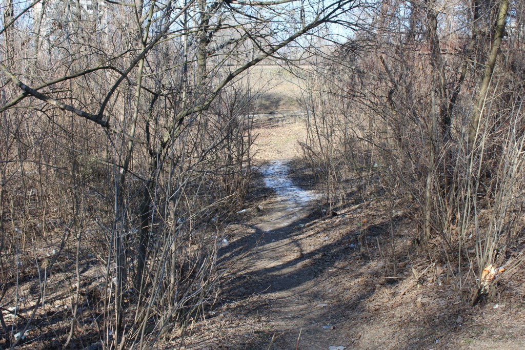 «Тело прикрыли ветками»: в Запорожской области нашли мертвой женщину, которую искали несколько дней