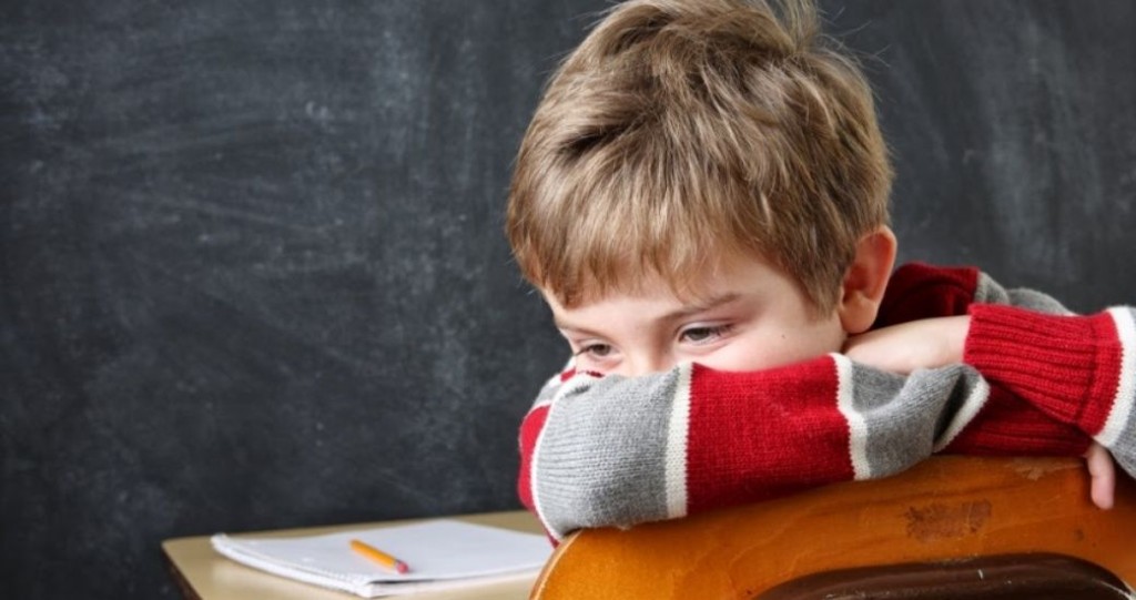 В Запорожской области назревает скандал: учитель толкнул школьника (ВИДЕО)