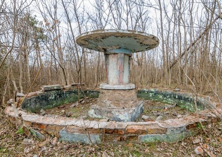 Спустя три дня пропавшую запорожанку нашли на Хортице: женщина в больнице (ФОТО)