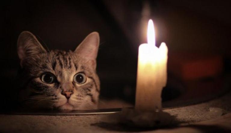 В Запорожье без света останутся несколько поселков (АДРЕСА)