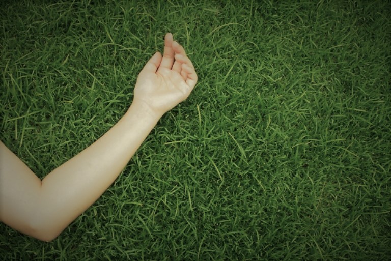 В Запорожской области посреди поля обнаружили труп