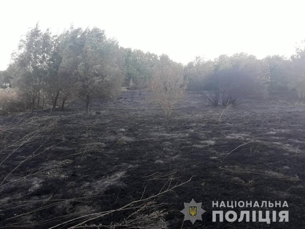 В Запорожской области полисмены задержали поджигателя (ФОТО)