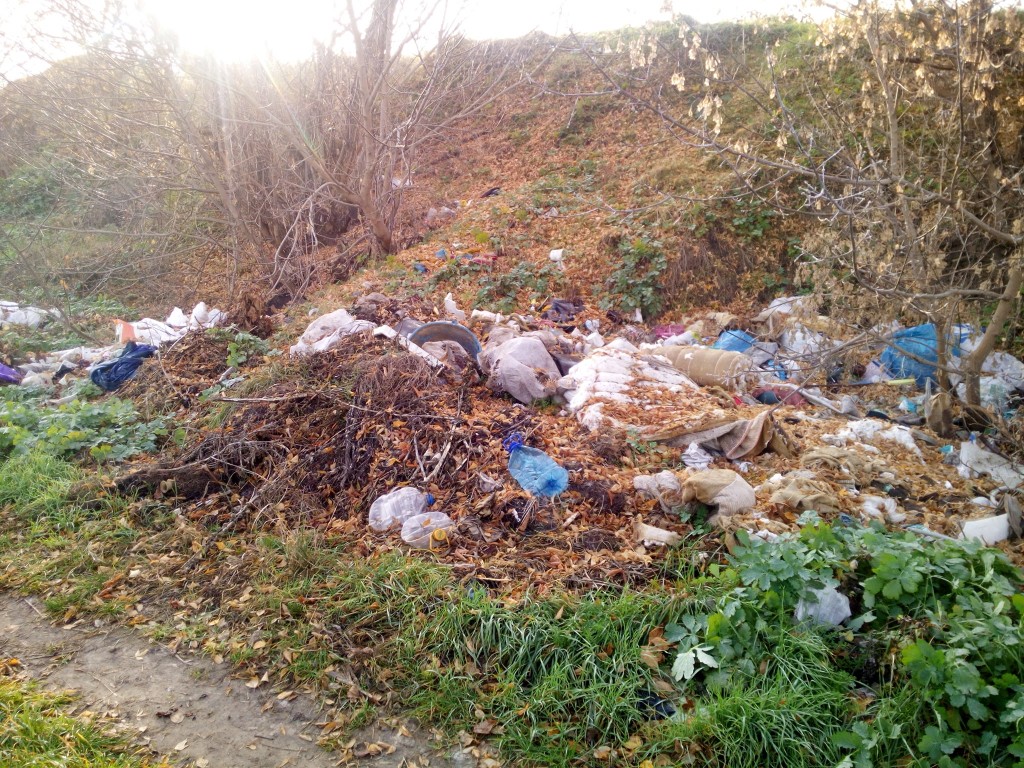 В Запорожье райадминистрация за 2 месяца не смогла убрать стихийные свалки в ботаническом заказнике (ФОТО)