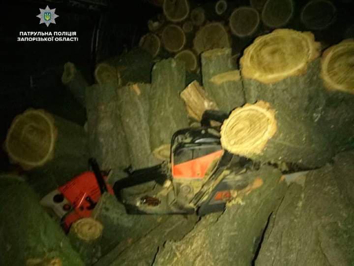 В Запорожье патрульные неожиданно выявили лесорубов (ФОТО)
