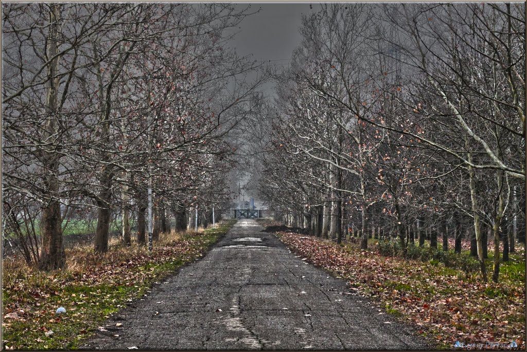 Порывы ветра, но без снега: в ГСЧС рассказали о погоде на выходные по Запорожской области