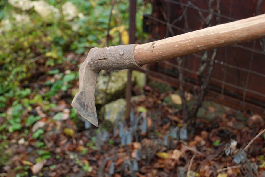 Соседская вражда: в запорожском селе женщина разрубила голову своему обидчику