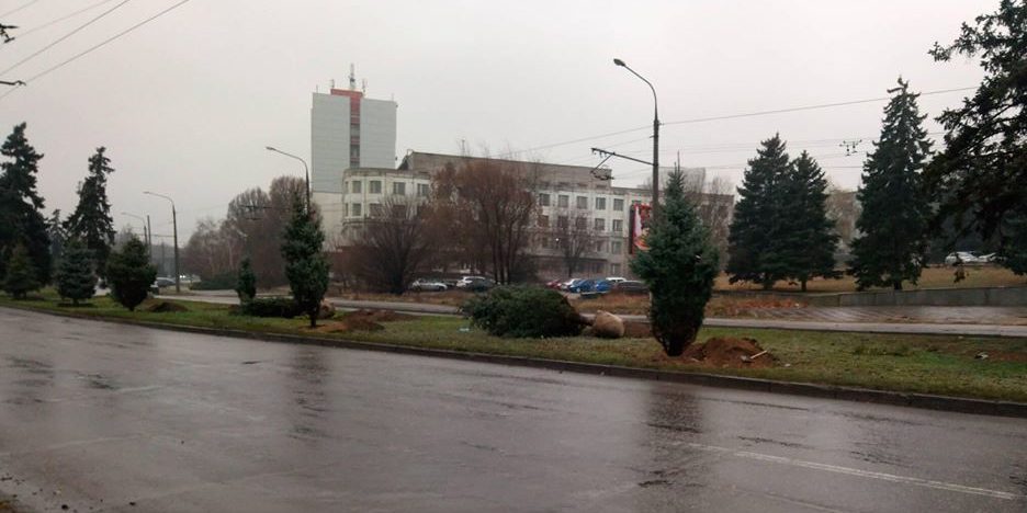 Не прошло и недели: в Запорожье вандалы поиздевались над новыми елками (ФОТО)