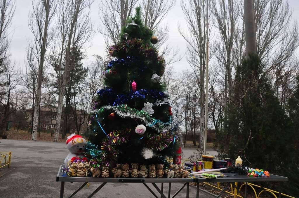 В Запоріжжі на Хортиці висадили сосни (ФОТОРЕПОРТАЖ)