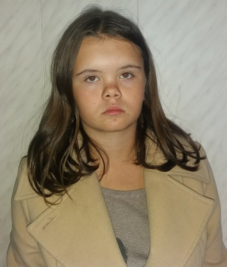 В Запорожской области волонтеры нашли исчезнувшую 13-летнюю девочку
