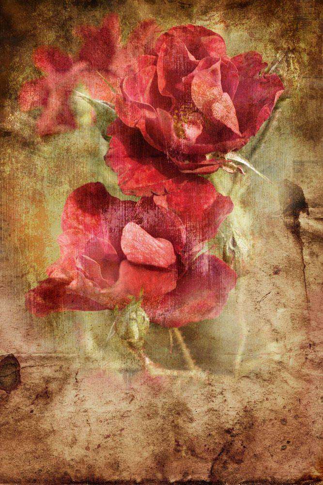 Печать картины на холсте