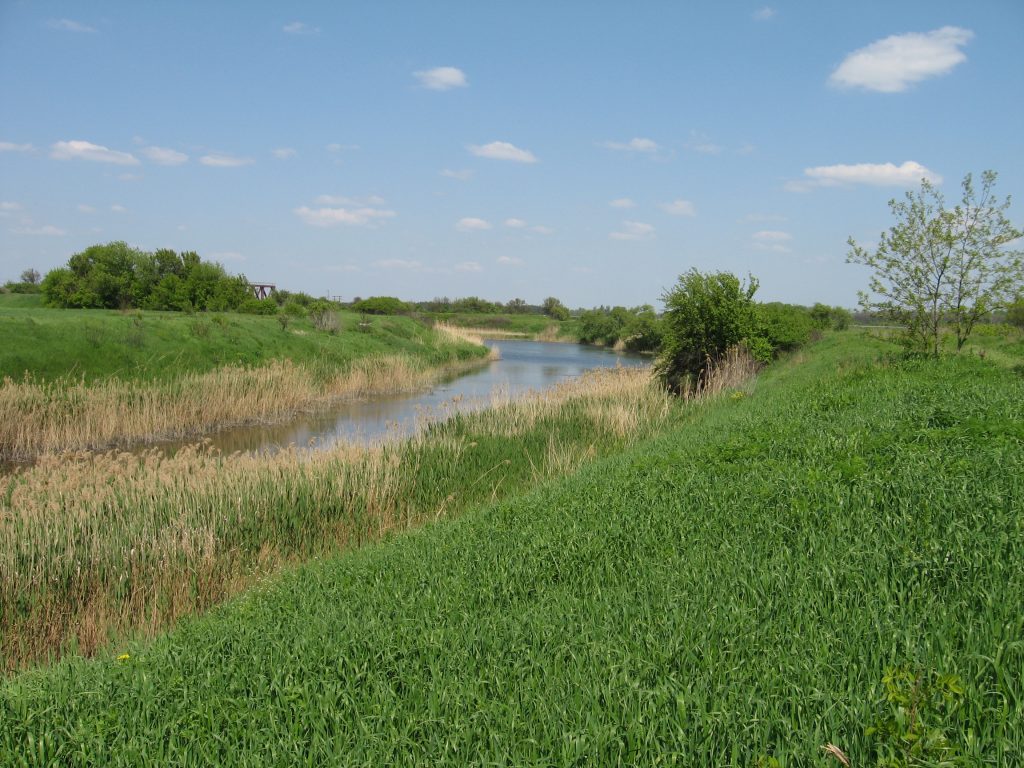 В Запорожской области всех неравнодушных зовут на уборку берега возле реки