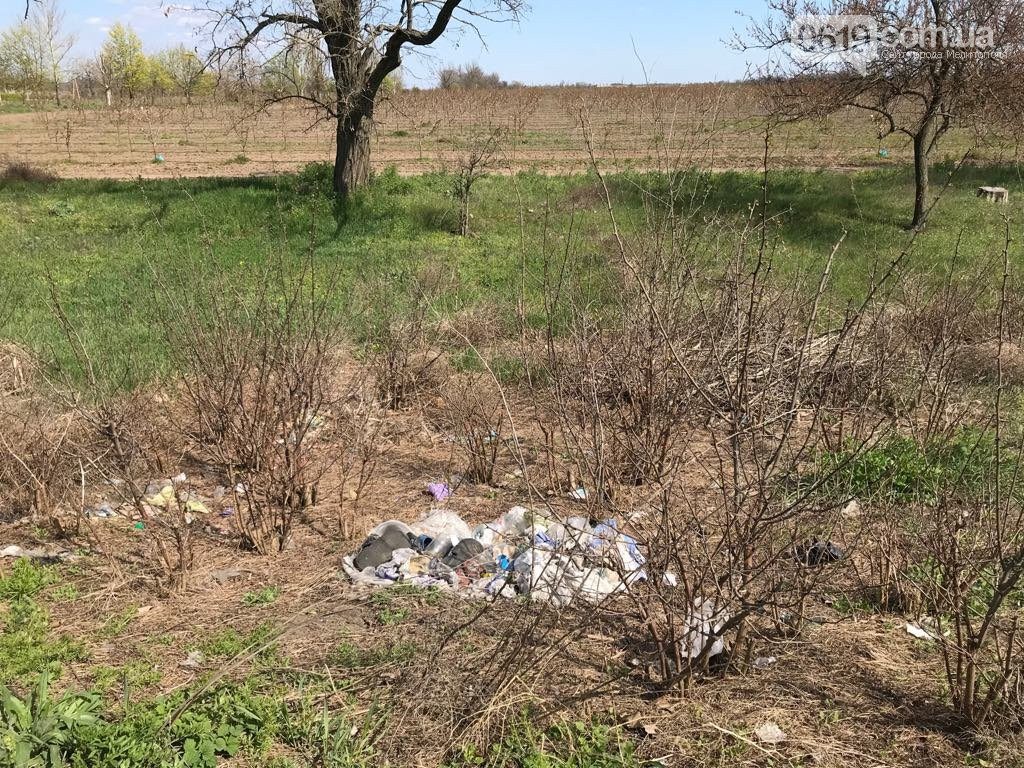 В Запорожской области дороги между сёлами завалены мусором (ФОТО)