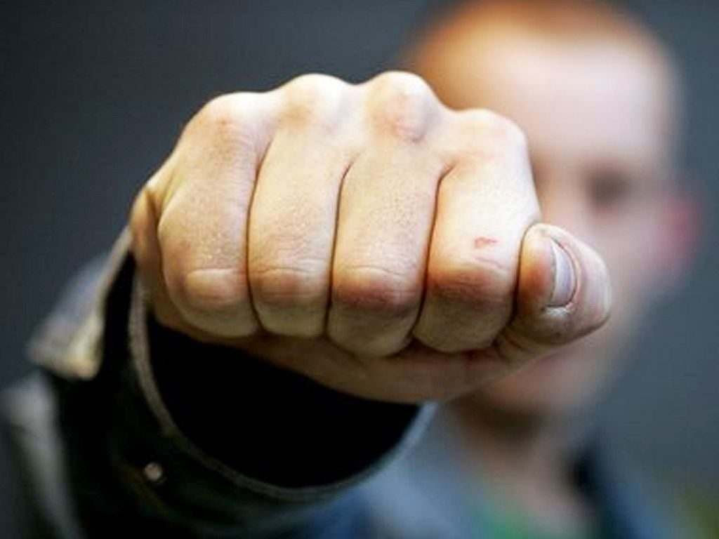 Ребенок попал в больницу: в Запорожской области разыскивают свидетелей нападения