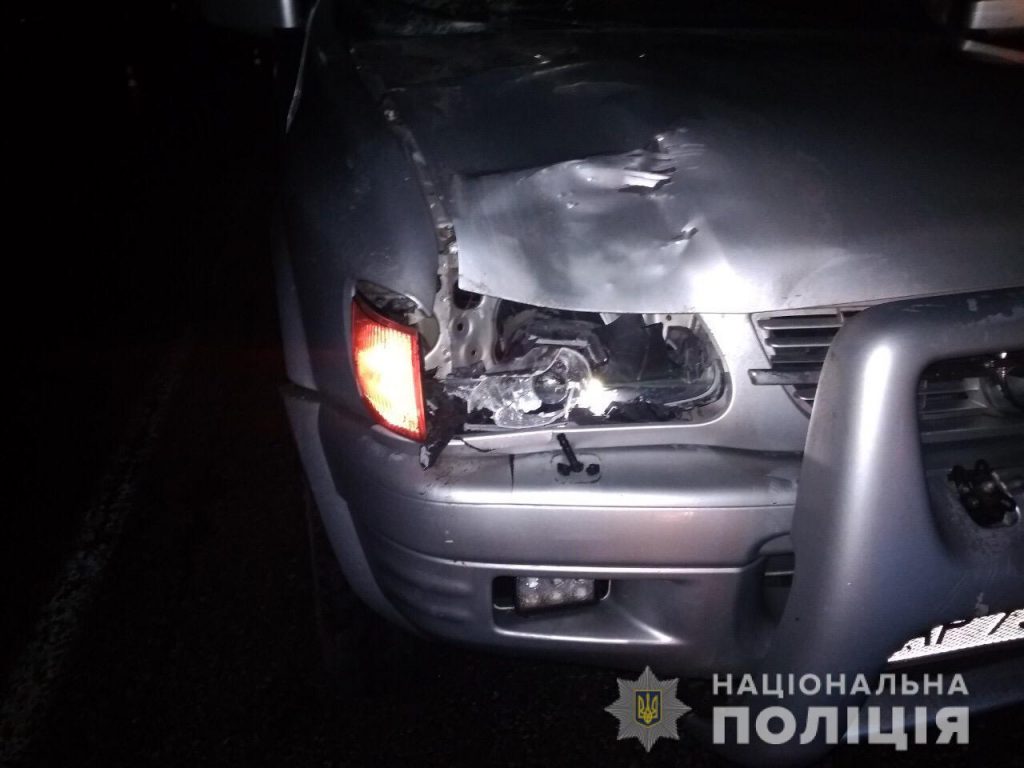 В Запорожской области под колесами авто погиб мужчина (ФОТО)