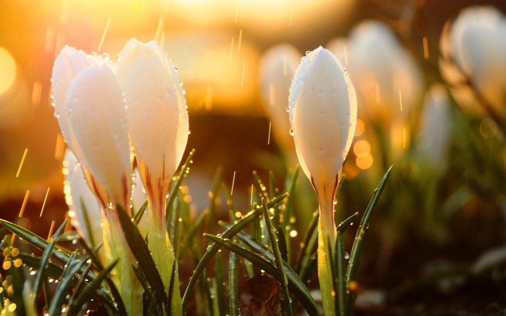 Дожди возвращаются: какая погода ждет запорожцев в ближайшие дни