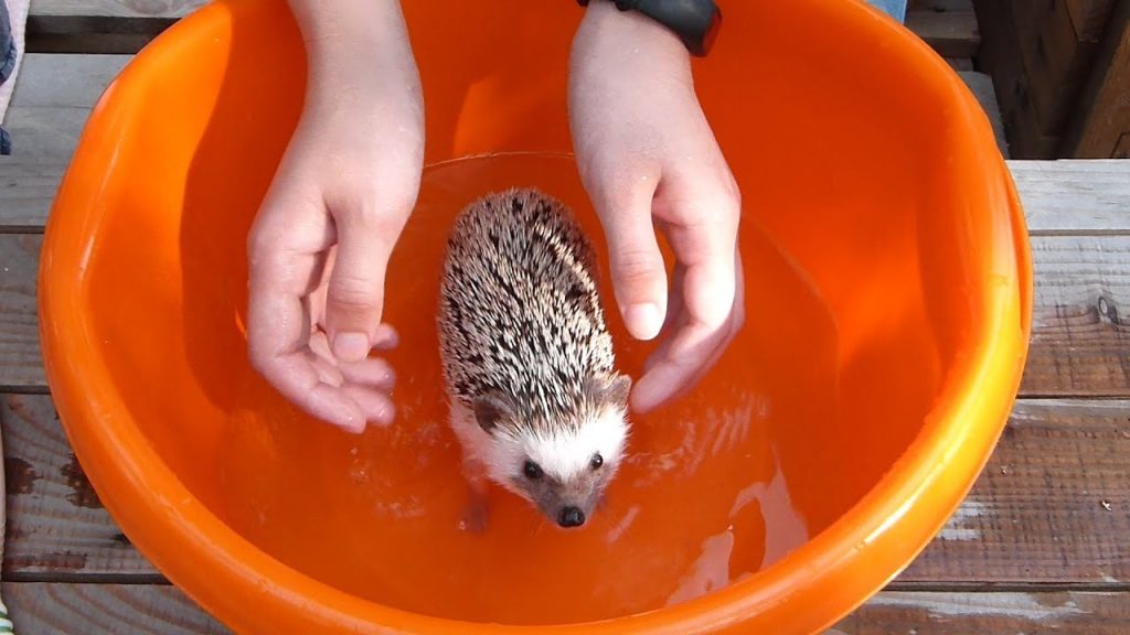 В Запорожье «Водоканал» отключит от водоснабжения должников (АДРЕСА)