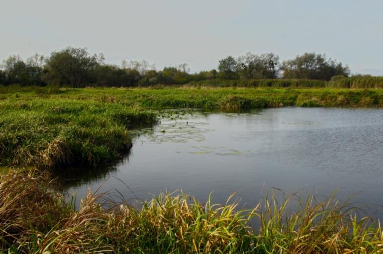 Трагическая ссора с родителями: в Запорожской области нашли тело молодого парня