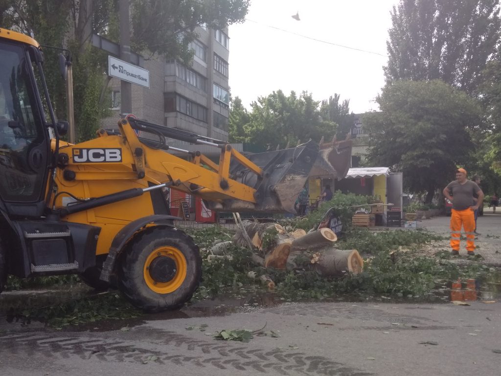 В Запорожье из-за прорыва канализации дерево едва не упало на дорогу с авто (ФОТО)