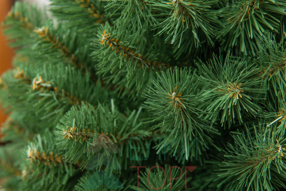 Курьезы: в Запорожье до начала лета прощались с новогодней елкой (ФОТО)