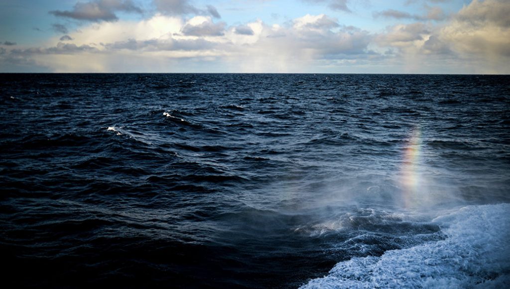 В Приморске отдыхающих унесло в открытое море