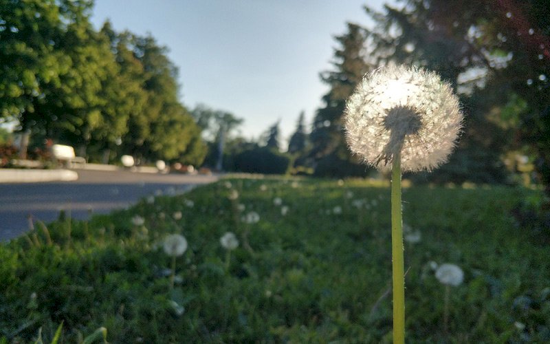 Погода готовит реванш: насколько похолодает в Запорожье
