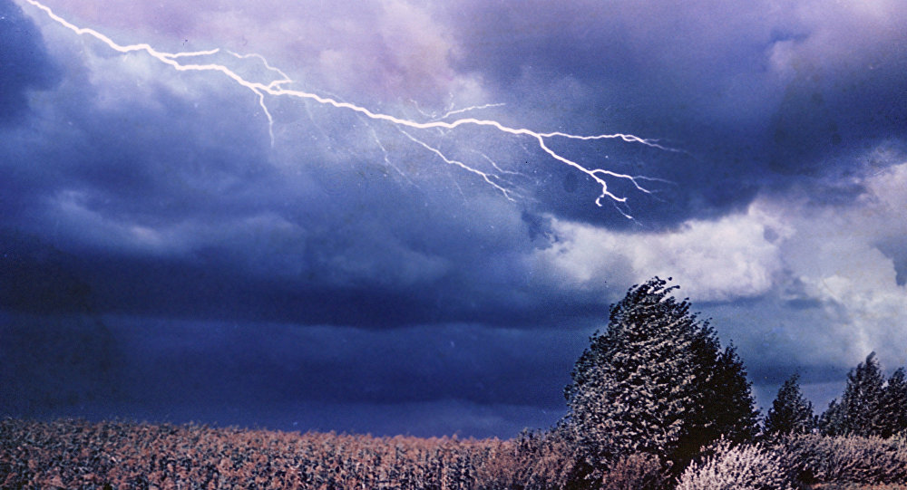 Грозы, ливни, сильные порывы ветра: какой будет неделя в Запорожье