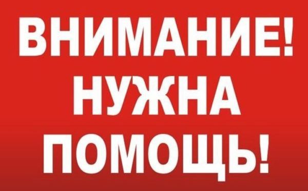 В Запорожской области мужчина после избиения впал в кому: родственники просят о помощи (ФОТО)