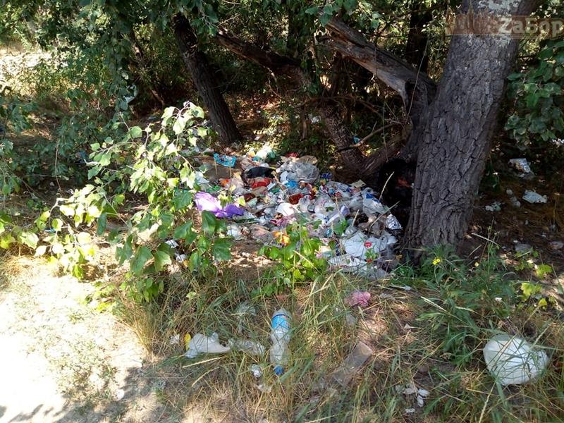 Запорожский пляж завален мусором (ФОТО)