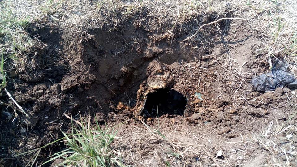 В Молочный лиман одна из баз отдыха сливает фекальные нечистоты (ФОТО, ВИДЕО)