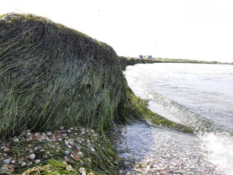 Отдыхающих в Бердянске ждут «ловушки» (ФОТО)