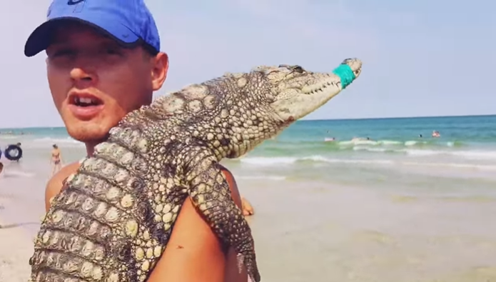 Экзотика как бизнес в Кирилловке: по мнению «предпринимателей», животных устраивает их участь (ВИДЕО)