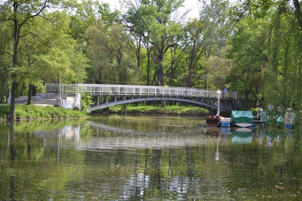 Реконструкция «Дубовки»: сколько вырубят деревьев и поставят парковок. Результаты общественных слушаний
