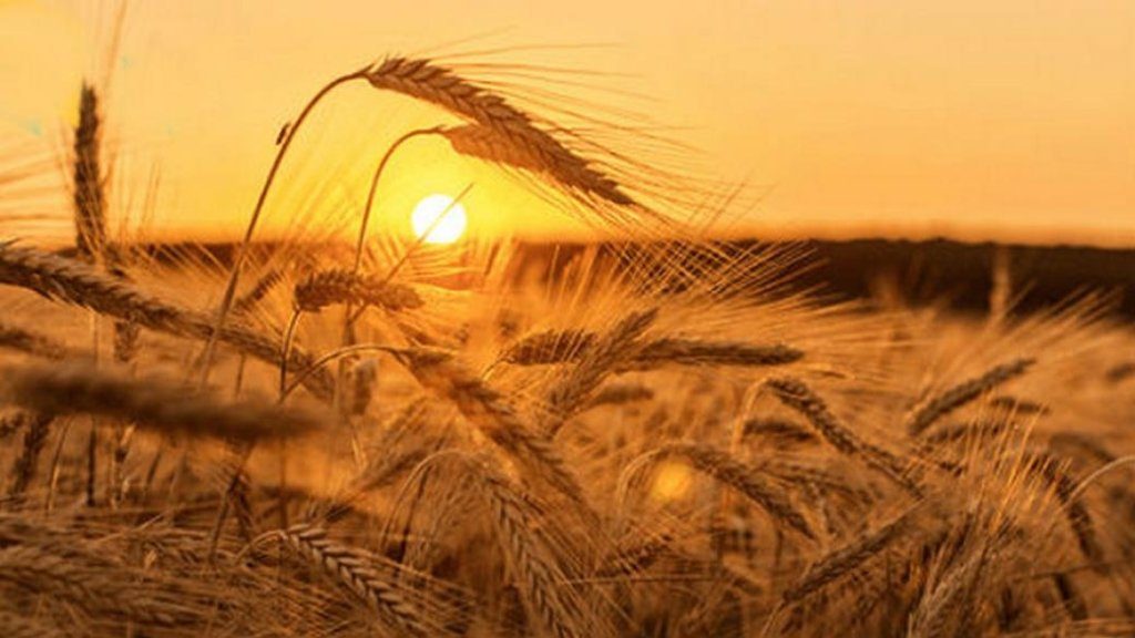 Какой будет погода в Украине до конца лета