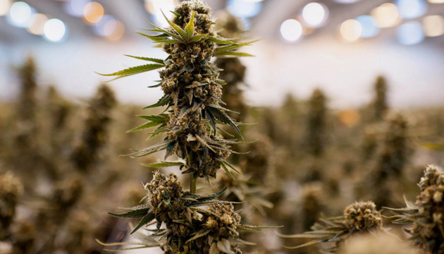 Ребенок в Мелитополе проносил наркотики заключенным