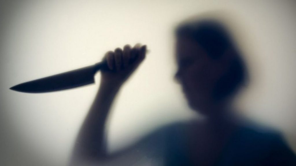 Запорожанку приговорили к 8 годам за нанесение смертельного ранения сожительнице сына