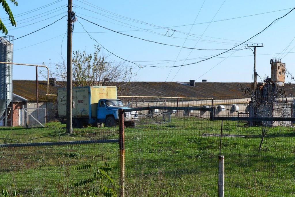 Вонь в Запорожье и птицефабрика в Отрадном: есть ли реальная связь (ФОТО, ВИДЕО)