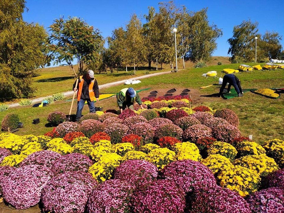 Герои мультфильмов, картины и скульптуры: в Запорожье установили фигуры из цветов