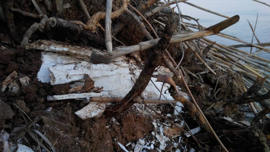 В Запорожской области нашли останки доисторического гиганта (ФОТО)