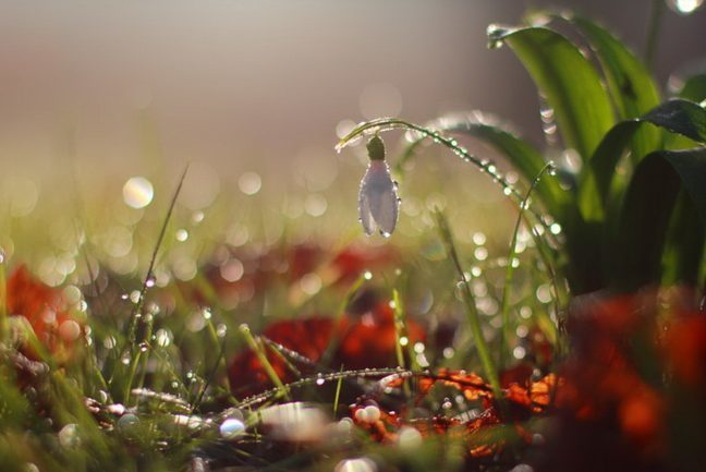 В Украину придет весна: чего ждать запорожцам